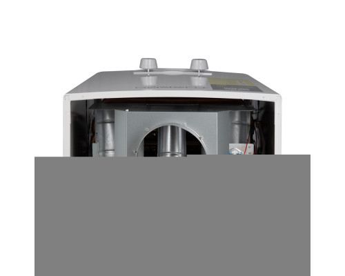 Колонка газова димохідна Thermo Alliance JSD20-10QB 10 л EURO