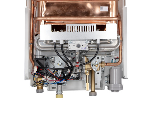 Колонка газова димохідна Thermo Alliance JSD20-10QB 10 л EURO
