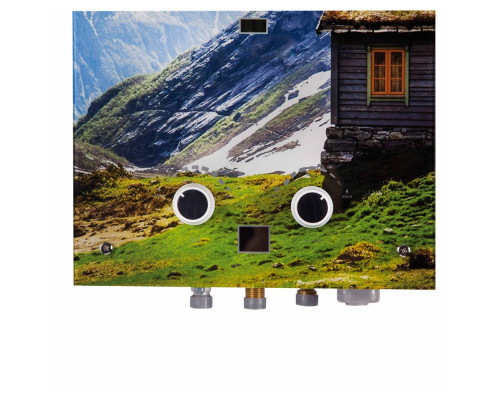 Колонка газова димохідна Thermo Alliance JSD20-10GC 10 л панель скляна з малюнком гори