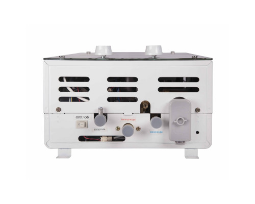 Колонка газова димохідна Thermo Alliance JSD20-10GC 10 л панель скляна з малюнком гори