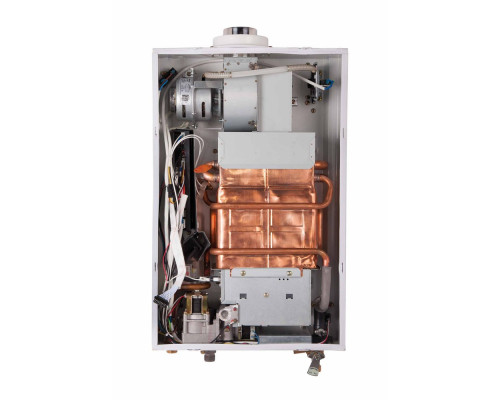 Колонка газова димохідна Thermo Alliance JSG20-10ETP18 10 л Silver