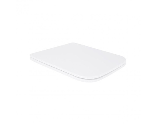 Унітаз підвісний Qtap Tern безобідковий з сідінням Soft-close QT1733052ERW