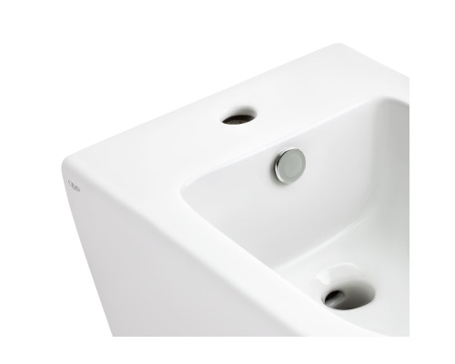 Біде підвісне Qtap Tern 485x345x330 White QT1755052FW