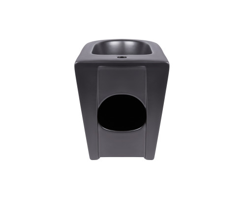Біде підлогове Qtap Robin 565x360x405 Matt black QT13442141CMB