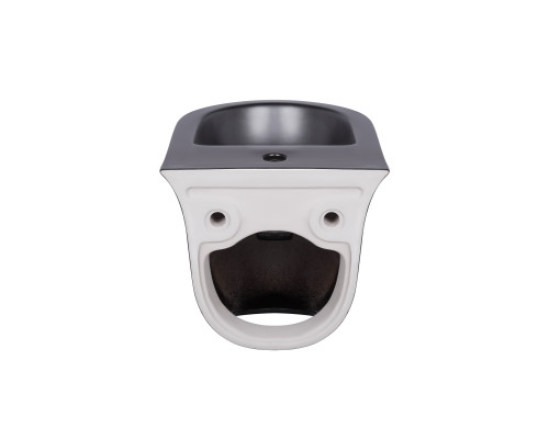 Біде підвісне Qtap Virgo 485х345х365 Matt black QT1855051FMB