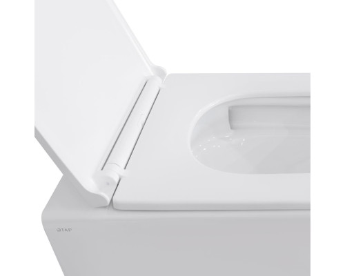 Унітаз підвісний Qtap Gemini безободковий з сидінням Soft-close QT2533076EUQW