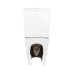 Унітаз-компакт Qtap Robin Ultra Quiet безободковий з сидінням Soft-close QT13222128AUQ1W